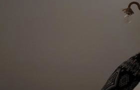 Alexandra's Boutique House - Foto 11