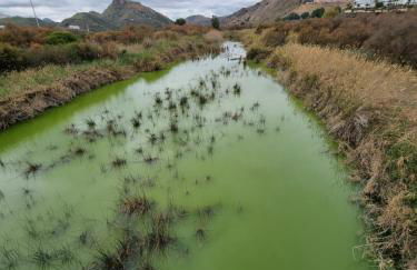 Pinar de GARRUCHA - Foto 28
