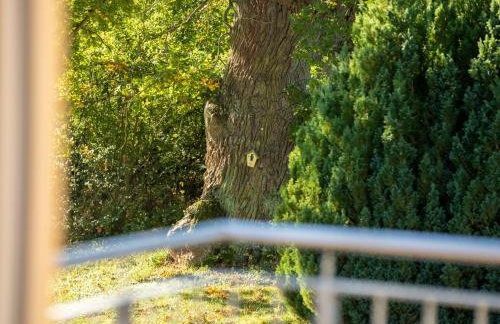 Butterblume DG - Foto 7