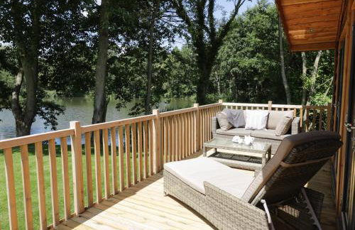 Kingfisher - Foto 15