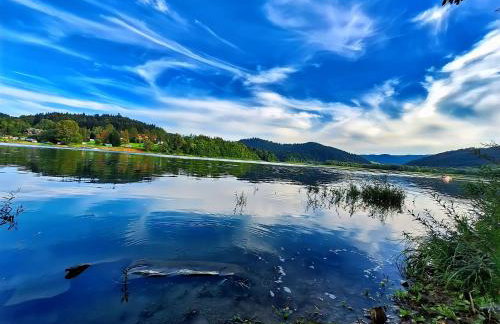 Domek Malinowy - Photo 47