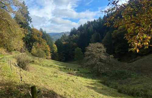 Ferienwohnung Kräutergarten - Foto 23