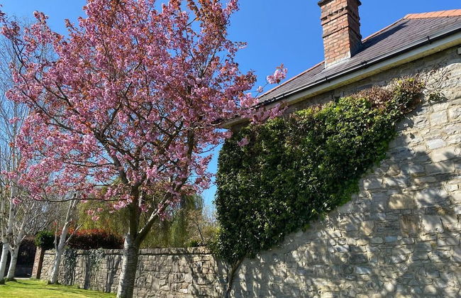 Countryside Home Located Just Outside Dublin City - Foto 46