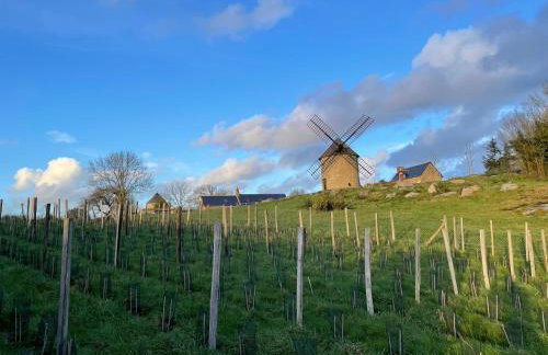 Manoir de la Bégaudière - Photo 46