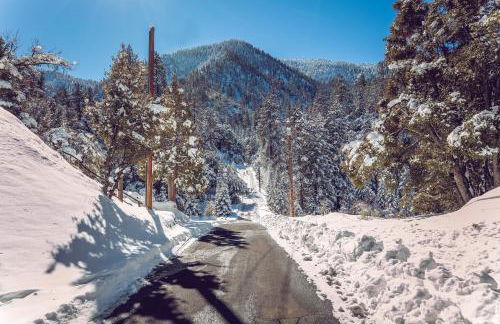 Spectacular Designer Treehouse with Mountain Views - Foto 43