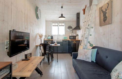 Charmant gîte cosy et romantique à Sanguinet - Foto 1