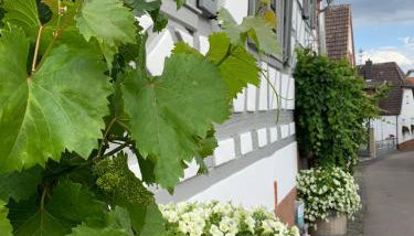 Ferienwohnung Sambachhaus - Foto 5