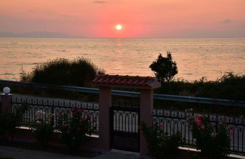 Salt and petals - Foto 56