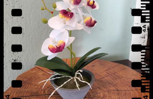 Hotel Alexandra - Foto 71