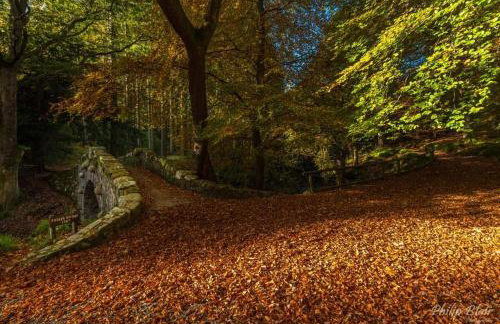 Bryansford Cottage Stables - Foto 27