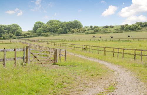 Old Milking Parlour - Photo 18