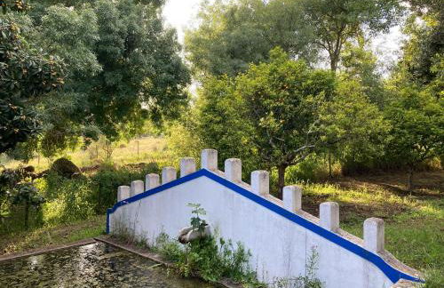 Monte da Fonte - piscina, tenis e snooker no Alentejo - Foto 13