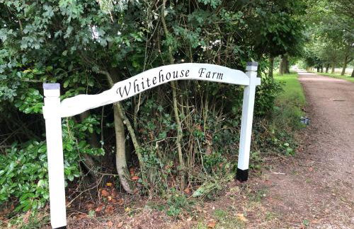 Little Oaks - Foto 15