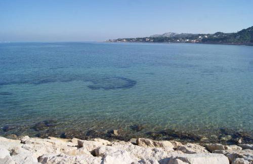 Apartamento Las Marinas II en Dénia - Foto 61