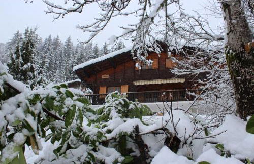 chalet artheis - Photo 36