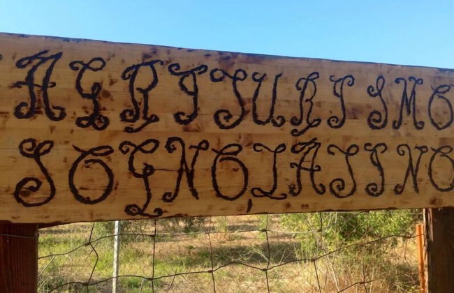 Agriturismo Sogno Latino - Photo 32