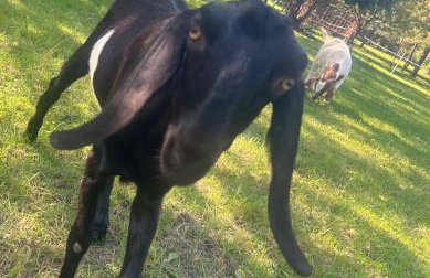 Domek nad Wkrą - Foto 49