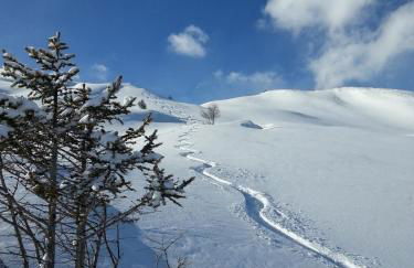 chalet la Louvière - Foto 45