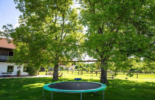 Thalerbauer Ferienwohnungen - Foto 37