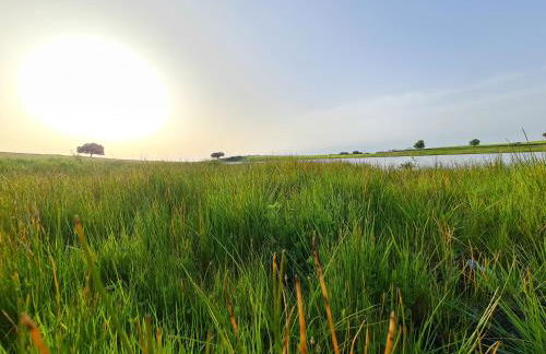 Monte do Arneiro - Foto 65