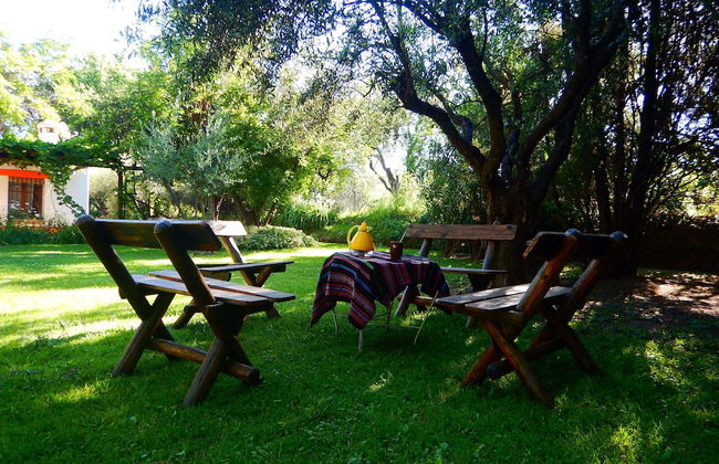 Rincón de la Finca - Photo 6