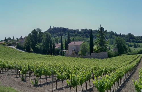 Gîte l'olivier - Foto 17