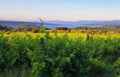 La Favilletta Casa Vacanze - Foto 13