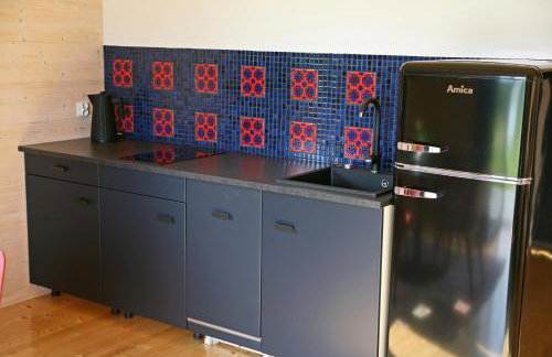 Dzikie Lisko - Domy wakacyjne w Bieszczadach - Foto 23