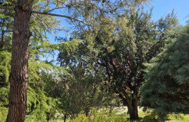 Il Giardino - Foto 21