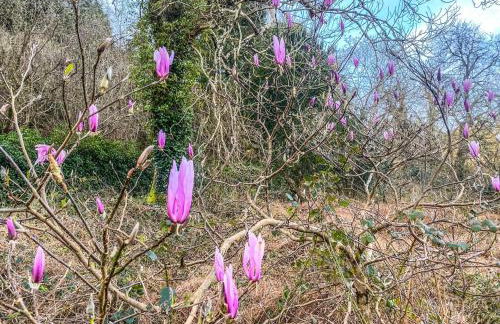 MotoCamp Wales - Lodges - Foto 16