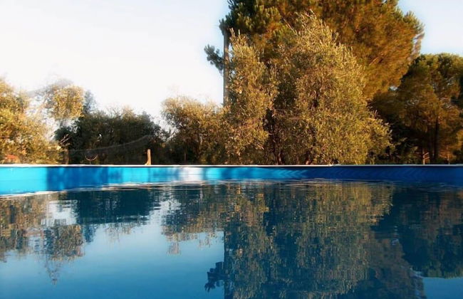 Podere Castagno - Photo 9