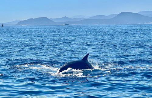 Casa Sardina - Foto 22