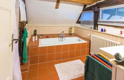 Reetdachhaus mit Elbblick - Foto 8