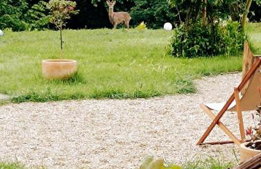 Holiday Home Forest INN - Foto 15