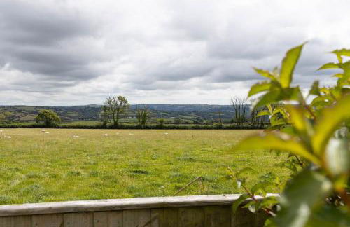 Bryniago Whitland - Foto 25