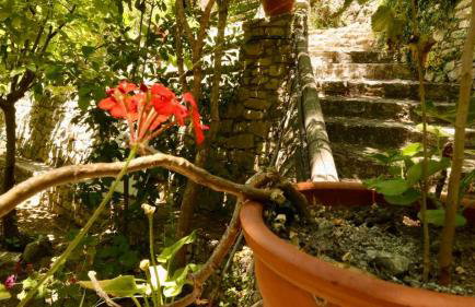 Angela's River Paradise Cottages - Foto 35