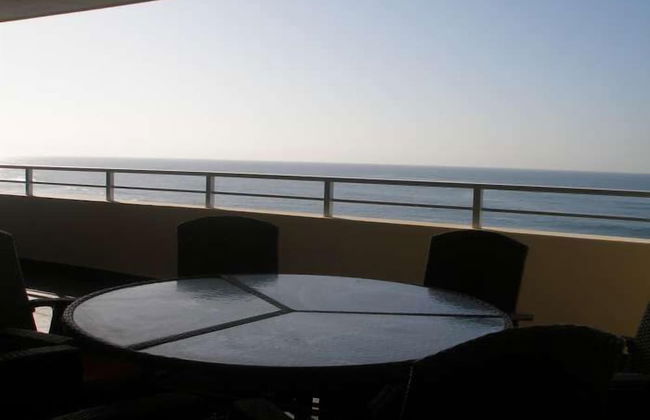 Lazy Lizard - Foto 20