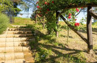 Agriturismo Bellandi - Foto 38