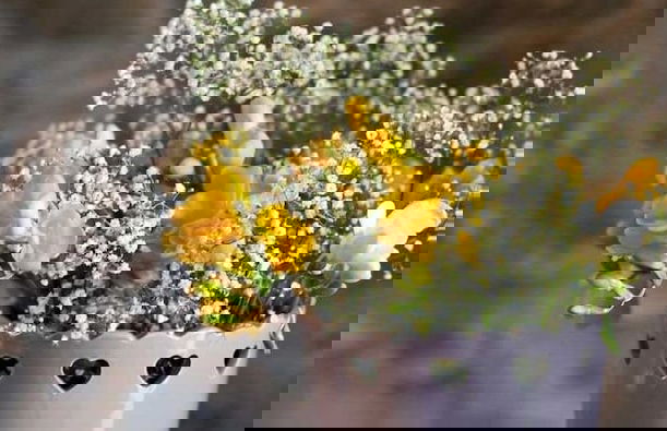 Agriresort Le Porcine - Photo 16