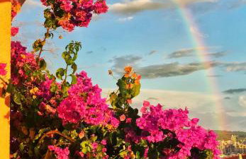 Apartments Zulim - Foto 20