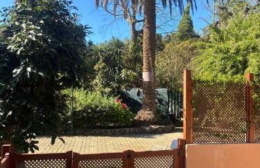 Rincón de los Abanes - Finca Casa Jardín-VV - Foto 39