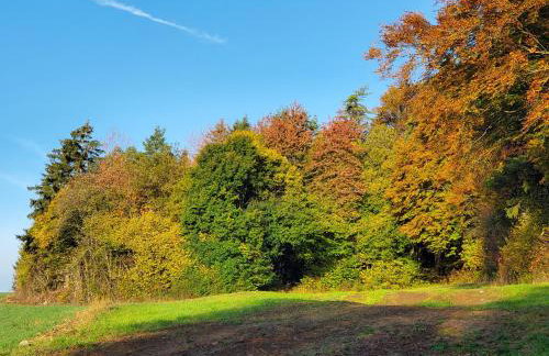 Ferienwohnung Zum Grünen Berg - Foto 17