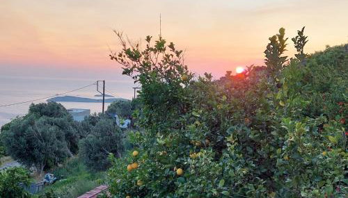 Vlami's House Andros - Foto 3