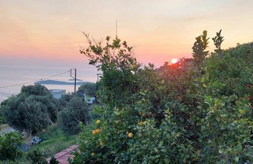 Vlami's House Andros - Foto 3