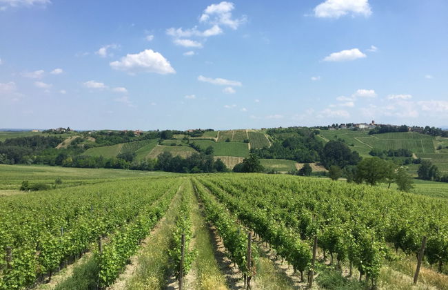 Ca' del Vento - Foto 51