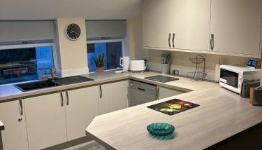Victorian Town House - Photo 5, stove, dishwasher