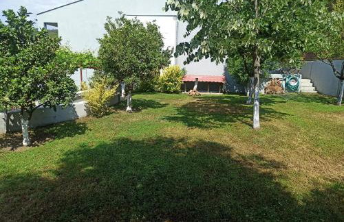 Oasis Apartments - Photo 38