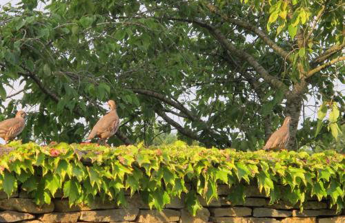 Culls Cottage, - Foto 62