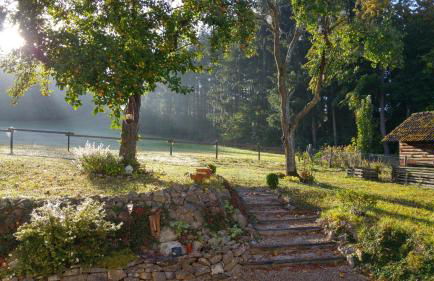 Ferienhaus Vulkaneifel Landhaus Loogh - Foto 36