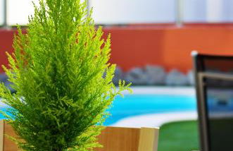 Villas Opal Anfi Tauro - Foto 35